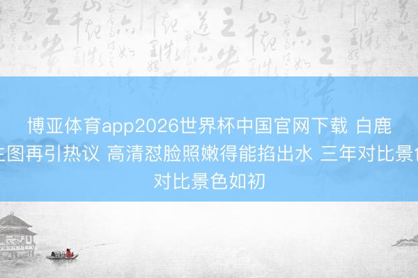 博亚体育app2026世界杯中国官网下载 白鹿红毯生图再引热议 高清怼脸照嫩得能掐出水 三年对比景色如初
