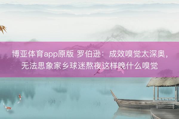 博亚体育app原版 罗伯逊：成效嗅觉太深奥，无法思象家乡球迷熬夜这样晚什么嗅觉