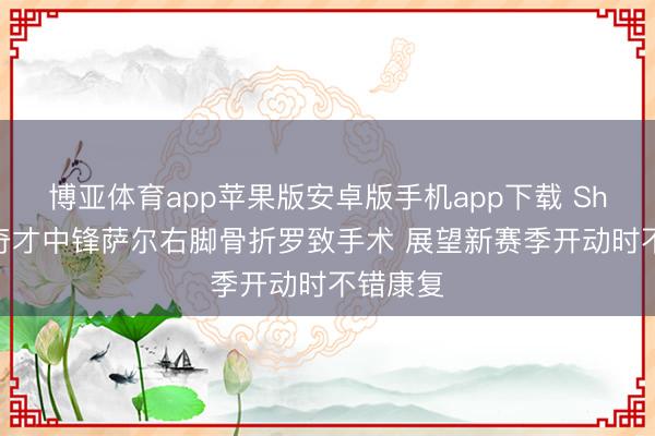 博亚体育app苹果版安卓版手机app下载 Shams：奇才中锋萨尔右脚骨折罗致手术 展望新赛季开动时不错康复